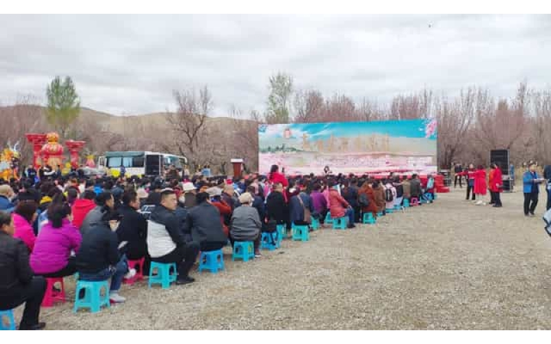 敦煌月牙泉杏林大型活动场地